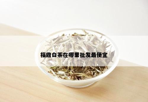 福鼎白茶在哪里批发更便宜