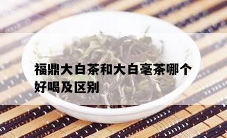 福鼎大白茶和大白毫茶哪个好喝及区别