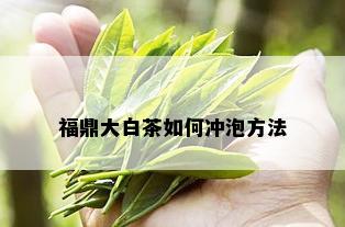 福鼎大白茶如何冲泡方法