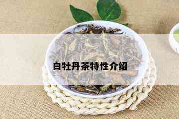 白牡丹茶特性介绍