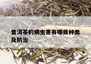 普洱茶的病虫害有哪些种类及防治