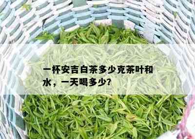 一杯安吉白茶多少克茶叶和水，一天喝多少？