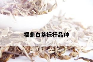 福鼎白茶标杆品种