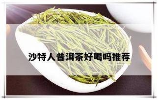 沙特人普洱茶好喝吗推荐