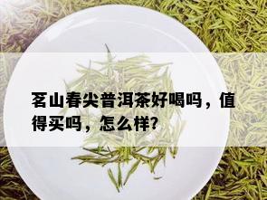 茗山春尖普洱茶好喝吗，值得买吗，怎么样？