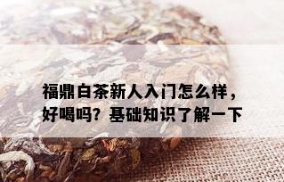 福鼎白茶新人入门怎么样，好喝吗？基础知识了解一下