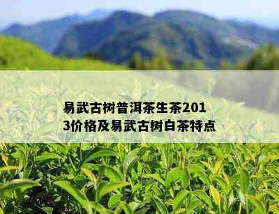 易武古树普洱茶生茶2013价格及易武古树白茶特点