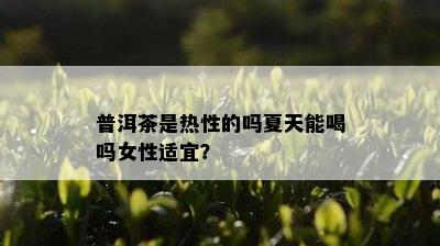 普洱茶是热性的吗夏天能喝吗女性适宜？