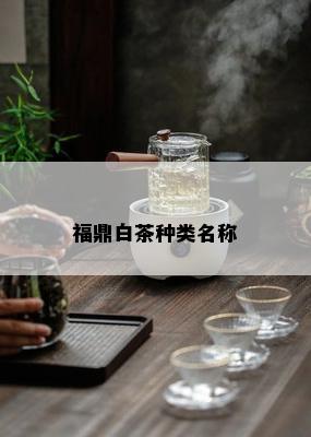 福鼎白茶种类名称