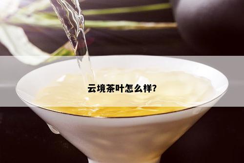 云境茶叶怎么样？