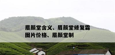 眉颜堂含义、眉颜堂修复霜图片价格、眉颜堂制