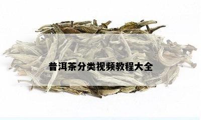 普洱茶分类视频教程大全