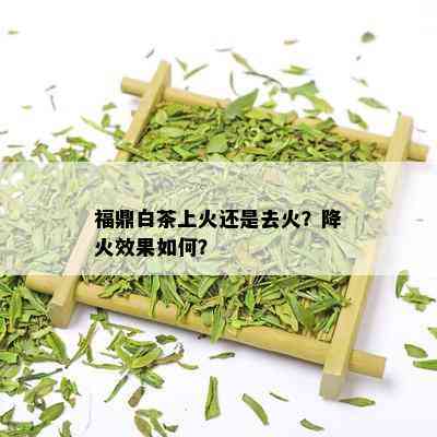 福鼎白茶上火还是去火？降火效果如何？