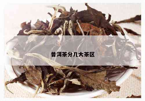 普洱茶分几大茶区