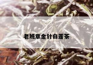 老班章金针白莲茶