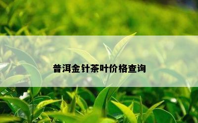 普洱金针茶叶价格查询