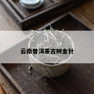 云南普洱茶古树金针