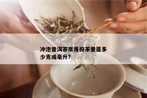 冲泡普洱茶常用投茶量是多少克或毫升？