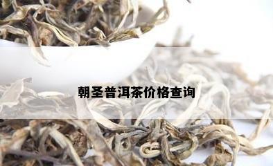 朝圣普洱茶价格查询