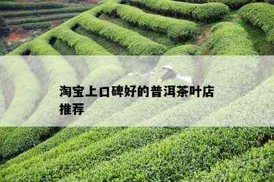 淘宝上口碑好的普洱茶叶店推荐