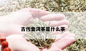 古代普洱茶是什么茶