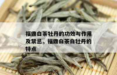 福鼎白茶牡丹的功效与作用及禁忌，福鼎白茶白牡丹的特点