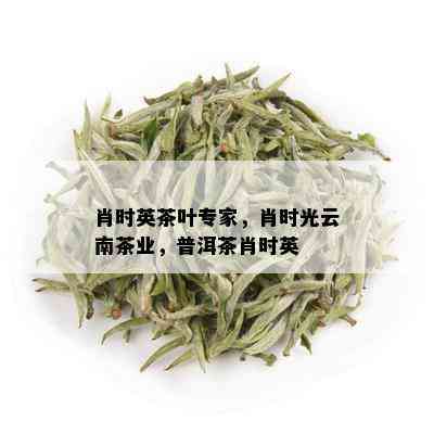 肖时英茶叶专家，肖时光云南茶业，普洱茶肖时英