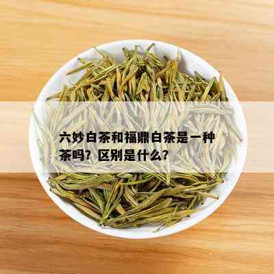 六妙白茶和福鼎白茶是一种茶吗？区别是什么？