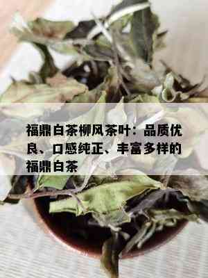 福鼎白茶柳风茶叶：品质优良、口感纯正、丰富多样的福鼎白茶