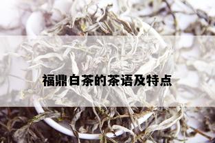 福鼎白茶的茶语及特点