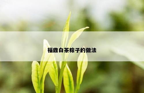 福鼎白茶粽子的做法