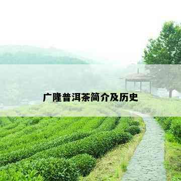 广隆普洱茶简介及历史