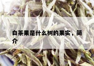 白茶果是什么树的果实，简介