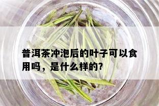 普洱茶冲泡后的叶子可以食用吗，是什么样的？