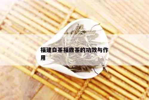 福建白茶福鼎茶的功效与作用