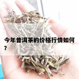 今年普洱茶的价格行情如何？