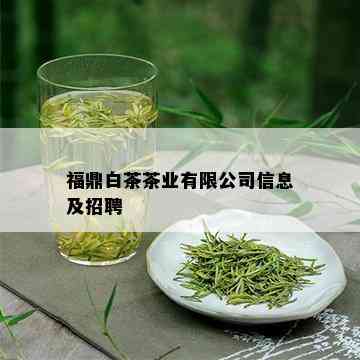 福鼎白茶茶业有限公司信息及招聘