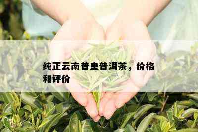 纯正云南普皇普洱茶，价格和评价