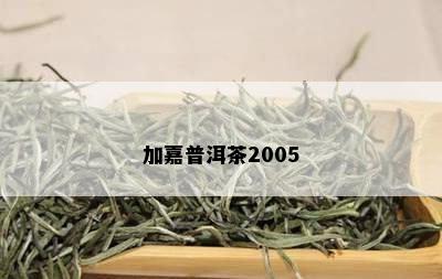 加嘉普洱茶2005