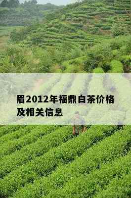 眉2012年福鼎白茶价格及相关信息