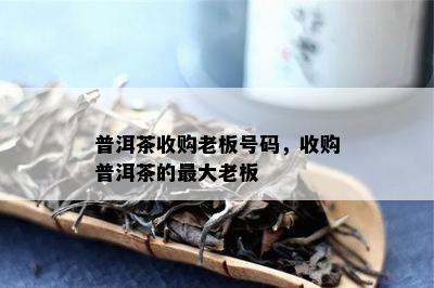 普洱茶收购老板号码，收购普洱茶的更大老板