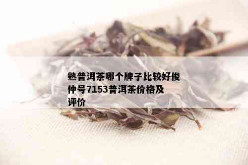 熟普洱茶哪个牌子比较好俊仲号7153普洱茶价格及评价