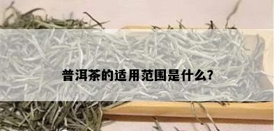 普洱茶的适用范围是什么？