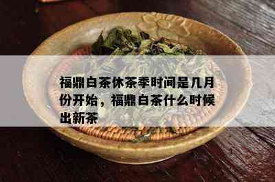 福鼎白茶休茶季时间是几月份开始，福鼎白茶什么时候出新茶