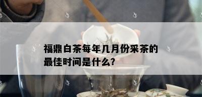 福鼎白茶每年几月份采茶的更佳时间是什么？