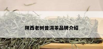 陕西老树普洱茶品牌介绍