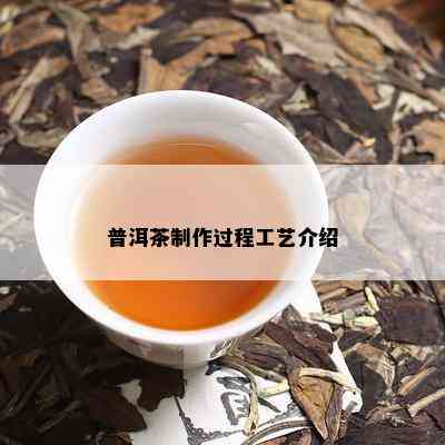 普洱茶制作过程工艺介绍