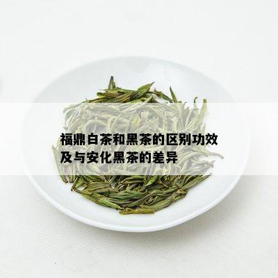 福鼎白茶和黑茶的区别功效及与安化黑茶的差异