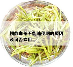 福鼎白茶不能随便喝的原因及可否饮用