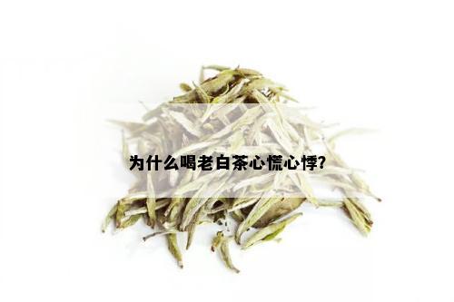 为什么喝老白茶心慌心悸？